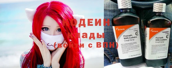 шишки Волоколамск
