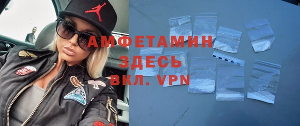 индика Волосово