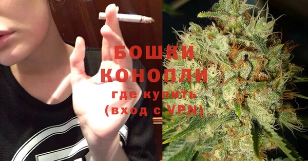 сатива Сясьстрой