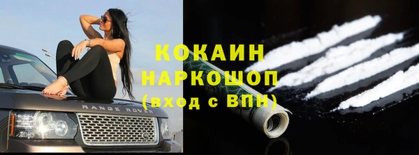 шишки Волоколамск
