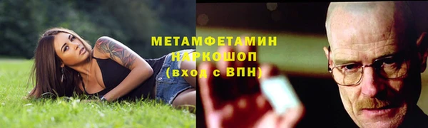 индика Волосово