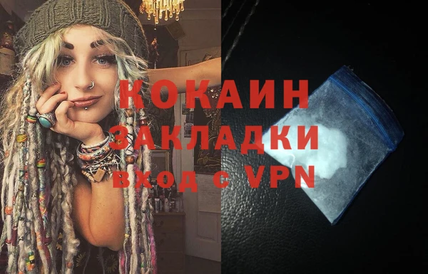 индика Волосово