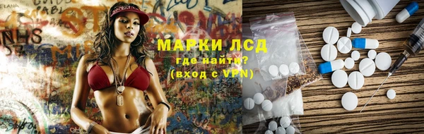 индика Волосово