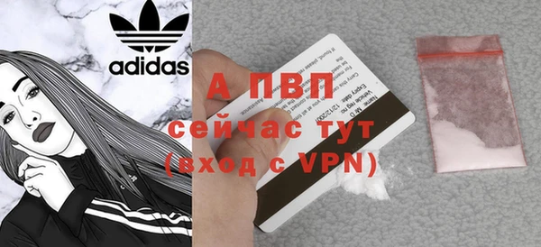 индика Волосово