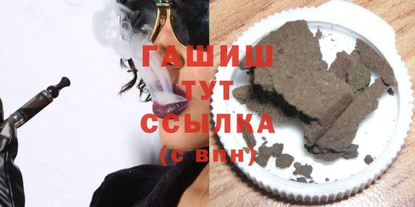 индика Волосово