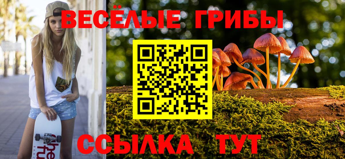 Галлюциногенные грибы мицелий  Вход с VPN  Черногорск 